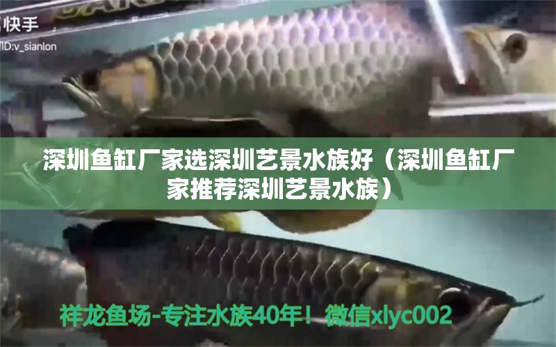 深圳魚缸廠家選深圳藝景水族好（深圳魚缸廠家推薦深圳藝景水族）