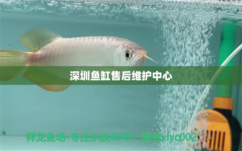 深圳魚缸售后維護中心 其他品牌魚缸