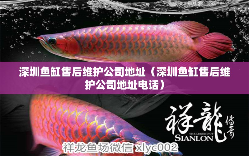 深圳魚缸售后維護(hù)公司地址（深圳魚缸售后維護(hù)公司地址電話） 其他品牌魚缸