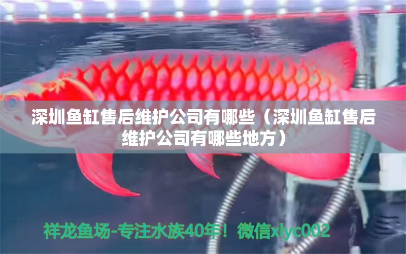 深圳魚缸售后維護公司有哪些（深圳魚缸售后維護公司有哪些地方） 其他品牌魚缸