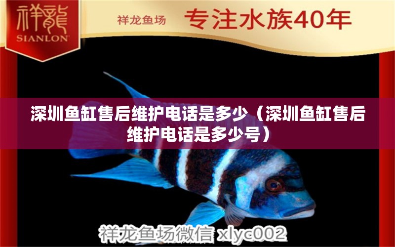 深圳魚(yú)缸售后維護(hù)電話(huà)是多少（深圳魚(yú)缸售后維護(hù)電話(huà)是多少號(hào)） 其他品牌魚(yú)缸