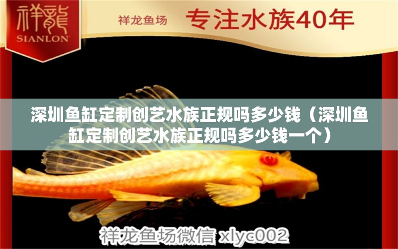 深圳魚缸定制創(chuàng)藝水族正規(guī)嗎多少錢（深圳魚缸定制創(chuàng)藝水族正規(guī)嗎多少錢一個）