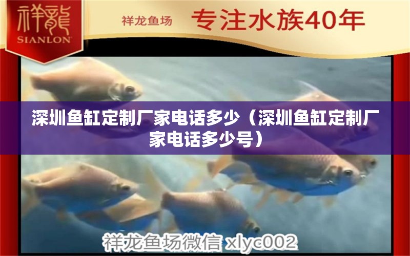 深圳魚缸定制廠家電話多少（深圳魚缸定制廠家電話多少號）