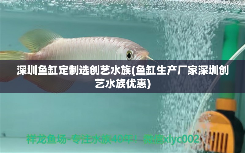 深圳魚缸定制選創(chuàng)藝水族(魚缸生產(chǎn)廠家深圳創(chuàng)藝水族優(yōu)惠) 祥龍魚藥系列