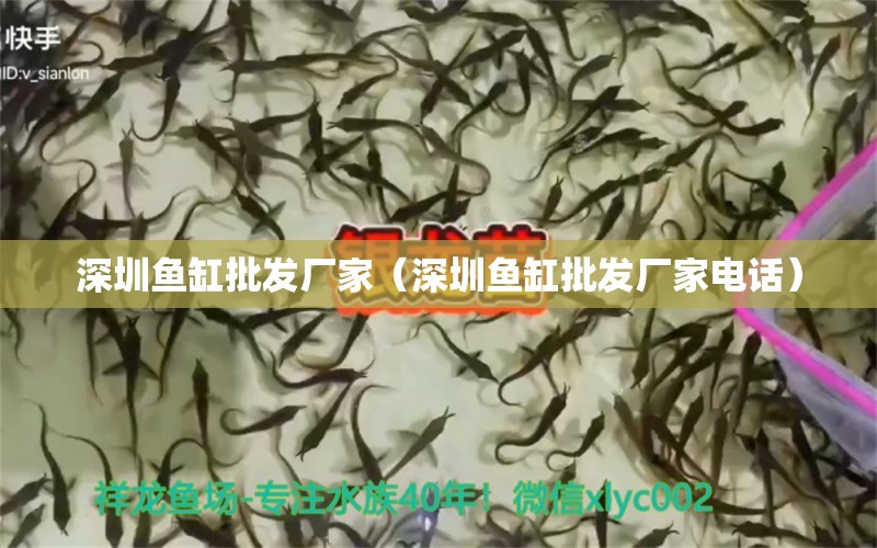 深圳魚缸批發(fā)廠家（深圳魚缸批發(fā)廠家電話） 其他品牌魚缸