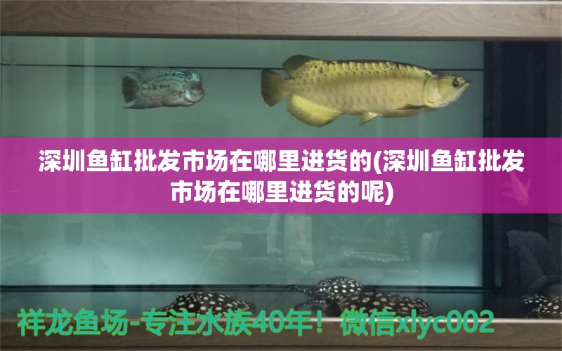 深圳魚缸批發(fā)市場在哪里進(jìn)貨的(深圳魚缸批發(fā)市場在哪里進(jìn)貨的呢) 觀賞魚飼料