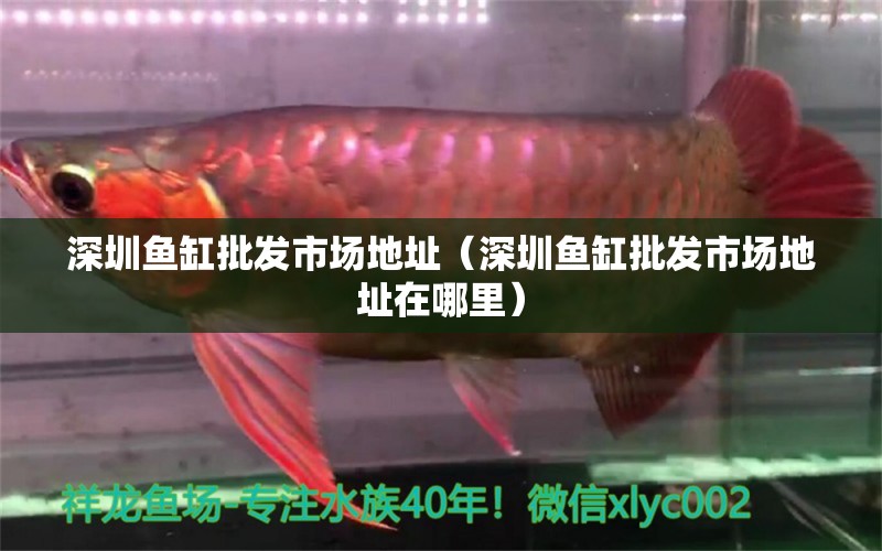 深圳魚缸批發(fā)市場地址（深圳魚缸批發(fā)市場地址在哪里） 其他品牌魚缸