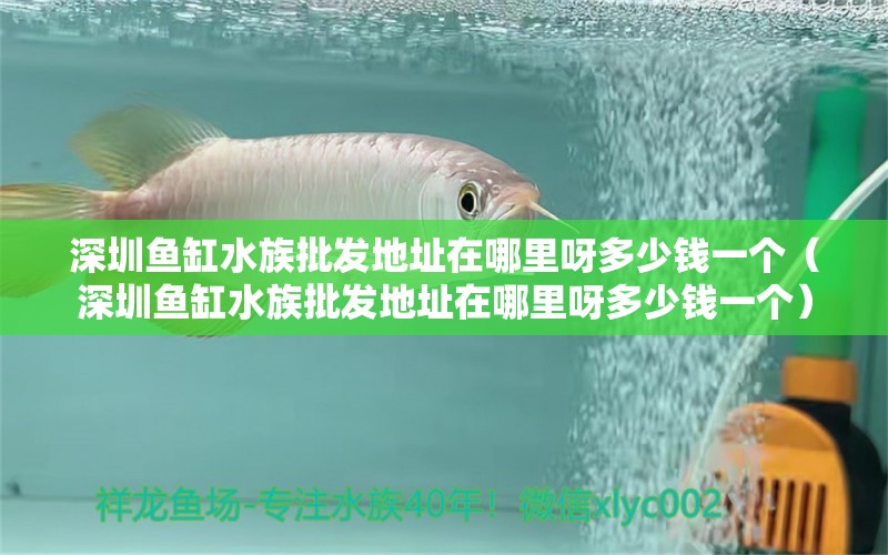 深圳魚(yú)缸水族批發(fā)地址在哪里呀多少錢(qián)一個(gè)（深圳魚(yú)缸水族批發(fā)地址在哪里呀多少錢(qián)一個(gè)）