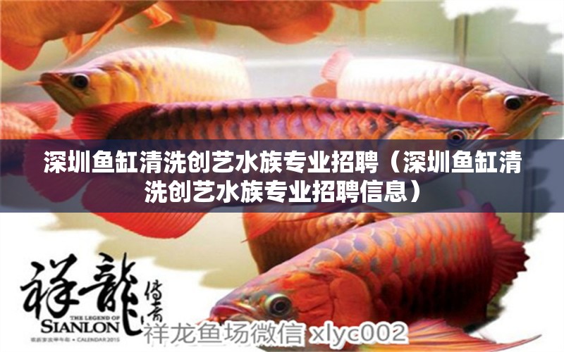 深圳魚缸清洗創(chuàng)藝水族專業(yè)招聘（深圳魚缸清洗創(chuàng)藝水族專業(yè)招聘信息）