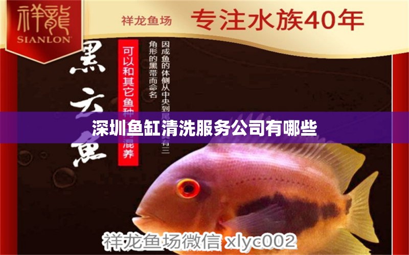 深圳魚缸清洗服務公司有哪些