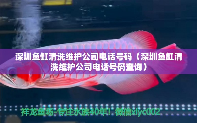 深圳魚缸清洗維護公司電話號碼（深圳魚缸清洗維護公司電話號碼查詢）