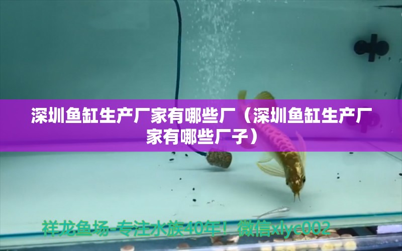 深圳魚缸生產(chǎn)廠家有哪些廠（深圳魚缸生產(chǎn)廠家有哪些廠子）