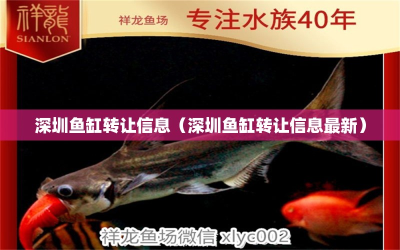 深圳魚缸轉(zhuǎn)讓信息（深圳魚缸轉(zhuǎn)讓信息最新）