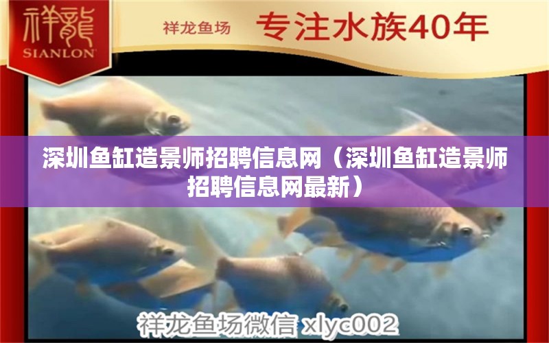 深圳魚缸造景師招聘信息網(wǎng)（深圳魚缸造景師招聘信息網(wǎng)最新）