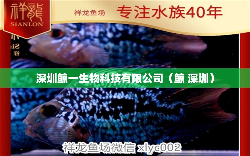 深圳鯨一生物科技有限公司（鯨 深圳） 全國(guó)水族館企業(yè)名錄