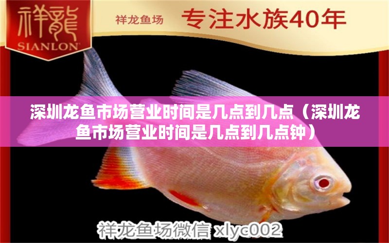 深圳龍魚市場營業(yè)時間是幾點到幾點（深圳龍魚市場營業(yè)時間是幾點到幾點鐘）