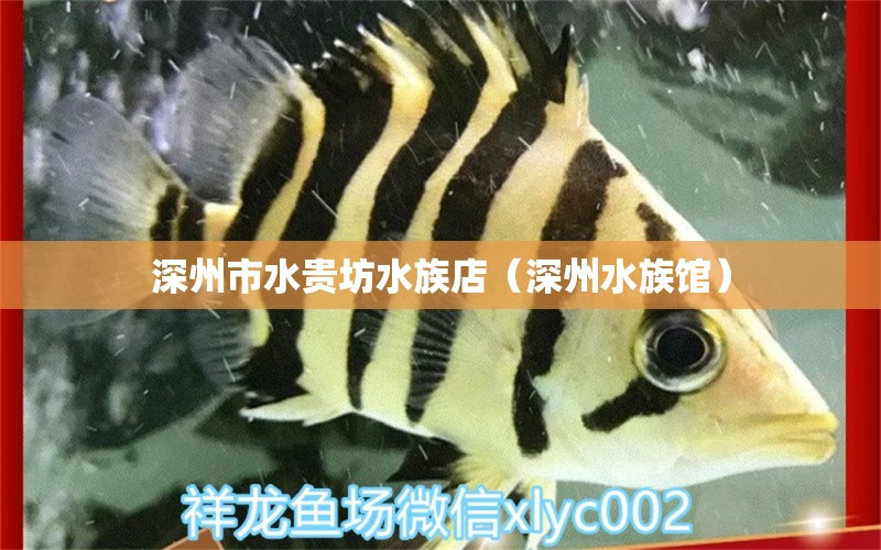 深州市水貴坊水族店（深州水族館） 全國(guó)水族館企業(yè)名錄