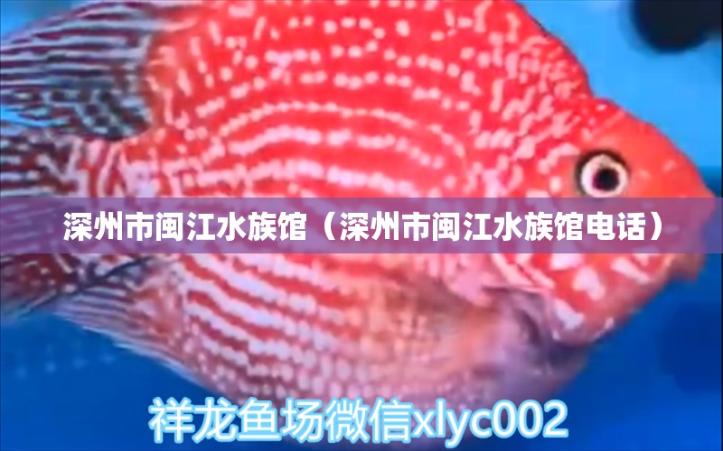 深州市閩江水族館（深州市閩江水族館電話） 全國水族館企業(yè)名錄