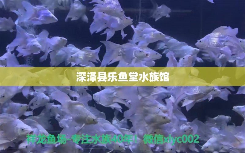 深澤縣樂(lè)魚(yú)堂水族館