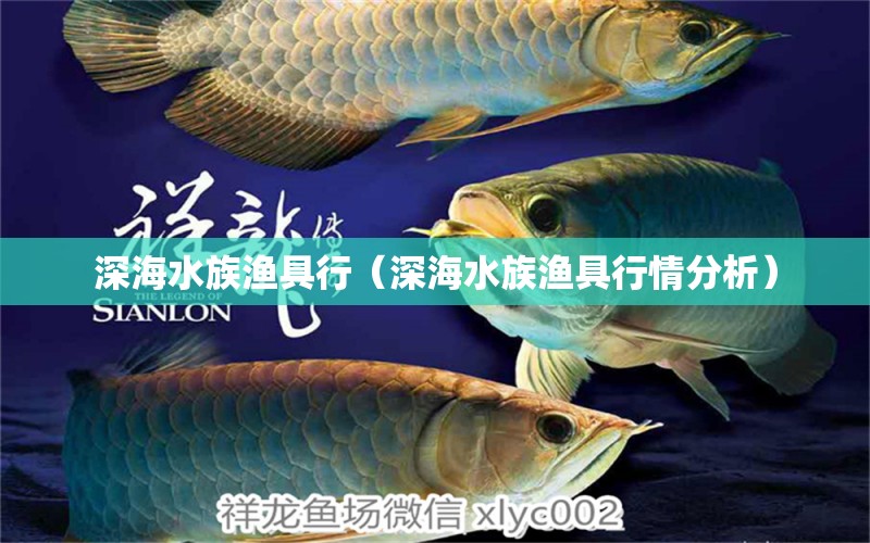 深海水族漁具行（深海水族漁具行情分析）