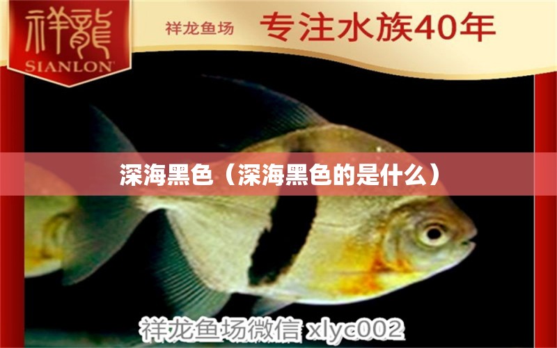 深海黑色（深海黑色的是什么） 廣州龍魚批發(fā)市場