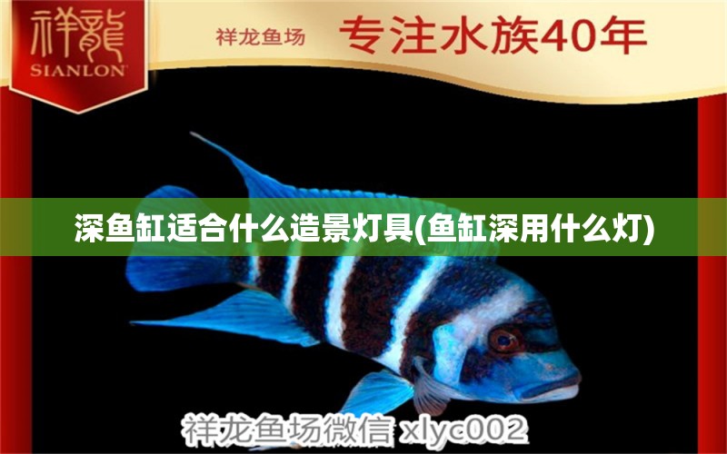 深魚缸適合什么造景燈具(魚缸深用什么燈) 黑白雙星魚 第1張