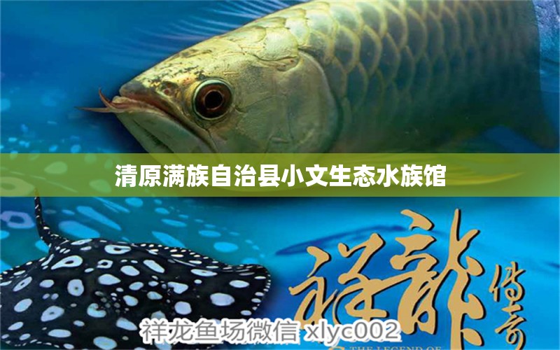 清原滿族自治縣小文生態(tài)水族館