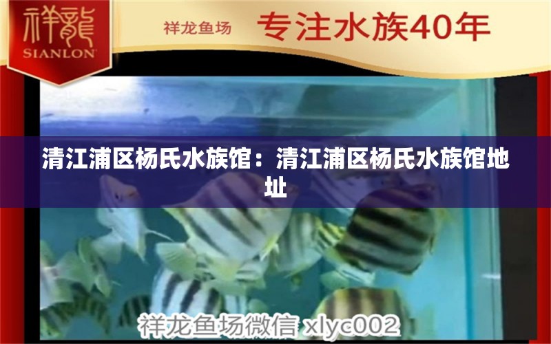 清江浦區(qū)楊氏水族館：清江浦區(qū)楊氏水族館地址 全國水族館企業(yè)名錄