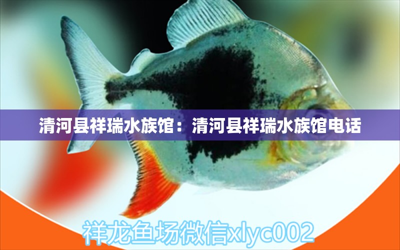 清河縣祥瑞水族館：清河縣祥瑞水族館電話