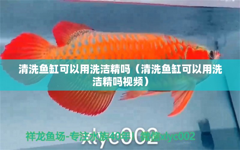 清洗魚(yú)缸可以用洗潔精嗎（清洗魚(yú)缸可以用洗潔精嗎視頻）