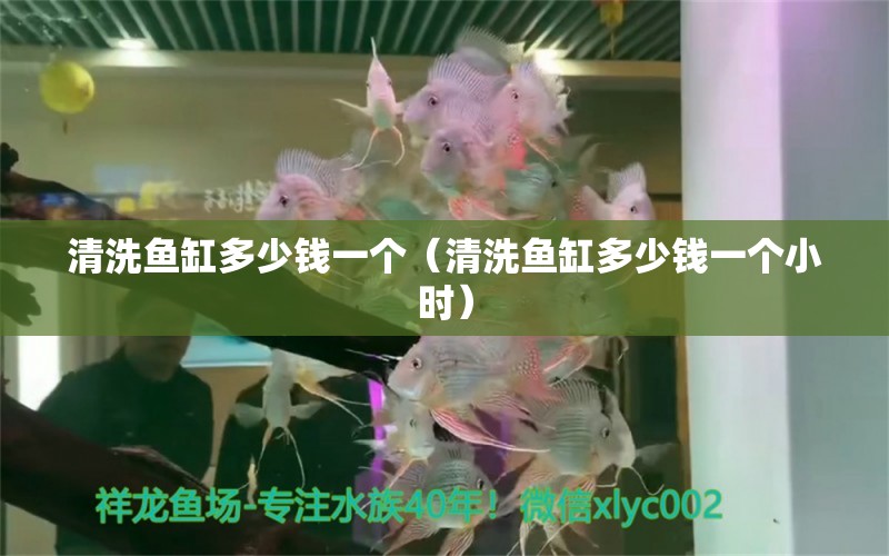 清洗魚缸多少錢一個（清洗魚缸多少錢一個小時） 量子養(yǎng)魚技術