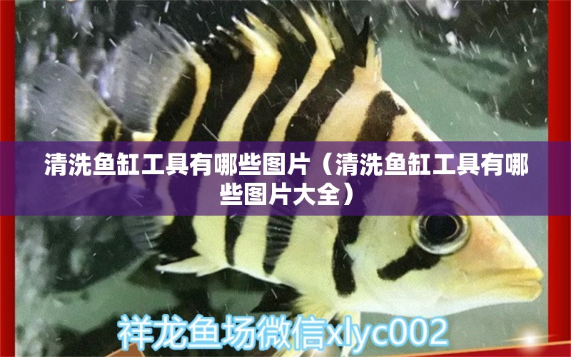 清洗魚缸工具有哪些圖片（清洗魚缸工具有哪些圖片大全）