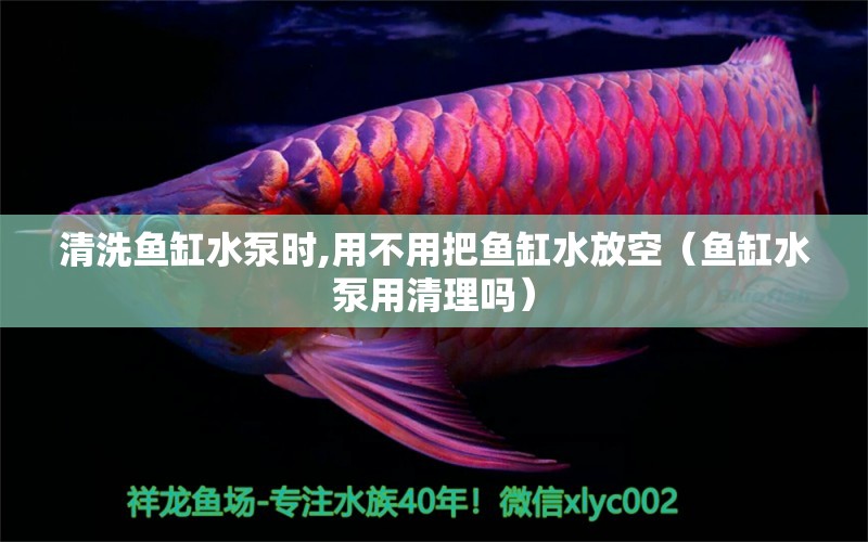 清洗魚缸水泵時,用不用把魚缸水放空（魚缸水泵用清理嗎）