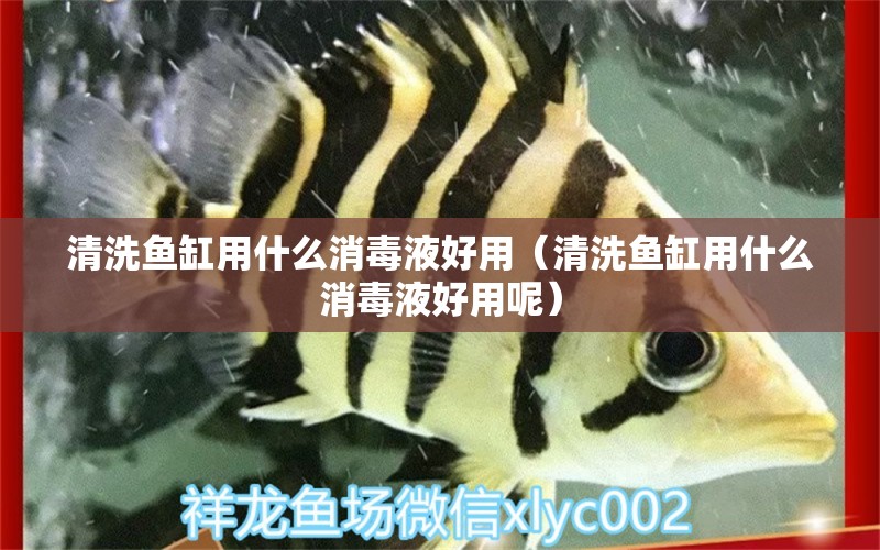 清洗魚缸用什么消毒液好用（清洗魚缸用什么消毒液好用呢）