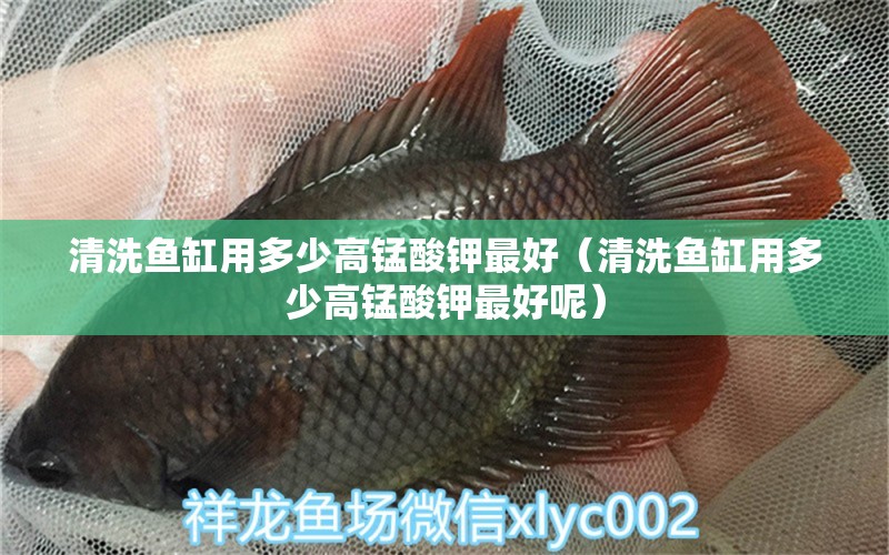 清洗魚(yú)缸用多少高錳酸鉀最好（清洗魚(yú)缸用多少高錳酸鉀最好呢）