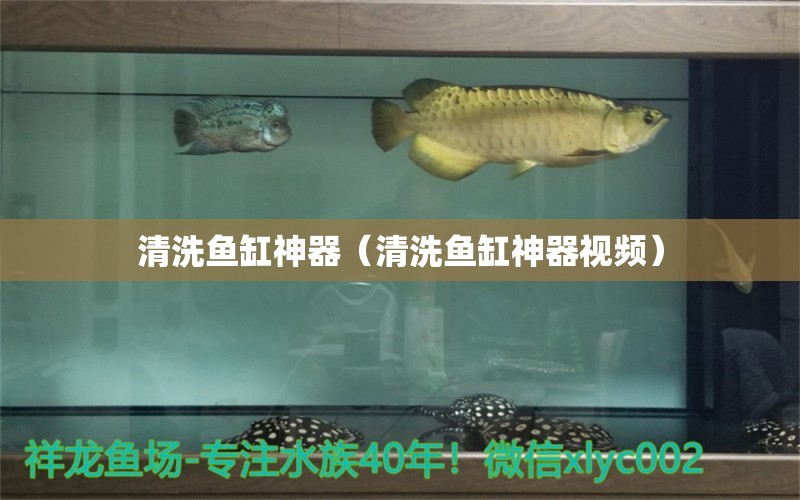 清洗魚缸神器（清洗魚缸神器視頻） 祥龍水族醫(yī)院