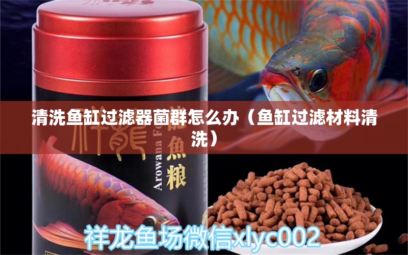 清洗魚(yú)缸過(guò)濾器菌群怎么辦（魚(yú)缸過(guò)濾材料清洗）