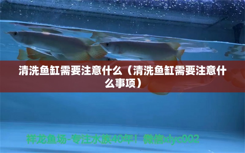 清洗魚缸需要注意什么（清洗魚缸需要注意什么事項）