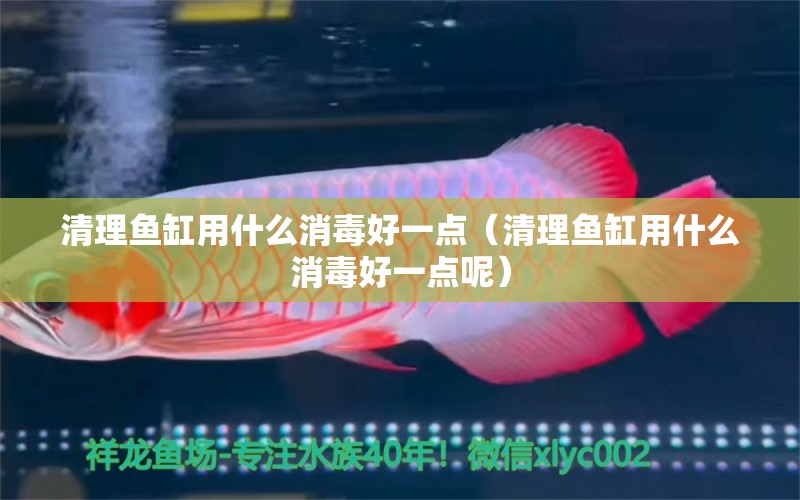 清理魚(yú)缸用什么消毒好一點(diǎn)（清理魚(yú)缸用什么消毒好一點(diǎn)呢） 觀賞魚(yú)市場(chǎng)（混養(yǎng)魚(yú)）