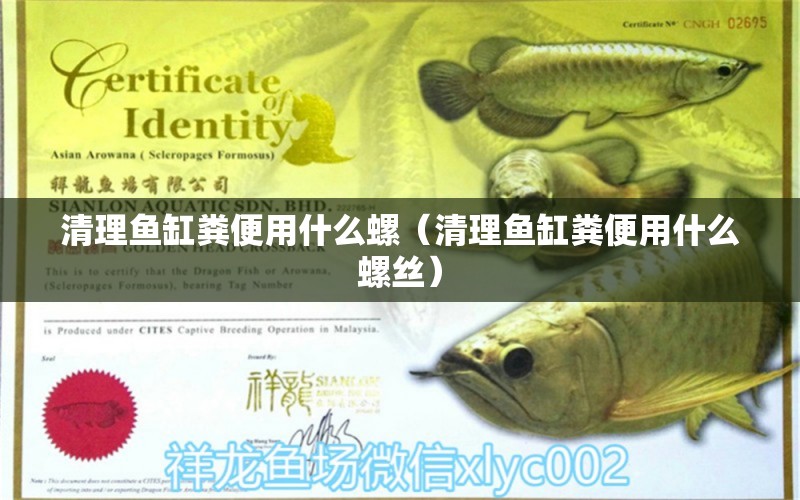 清理魚缸糞便用什么螺（清理魚缸糞便用什么螺絲）