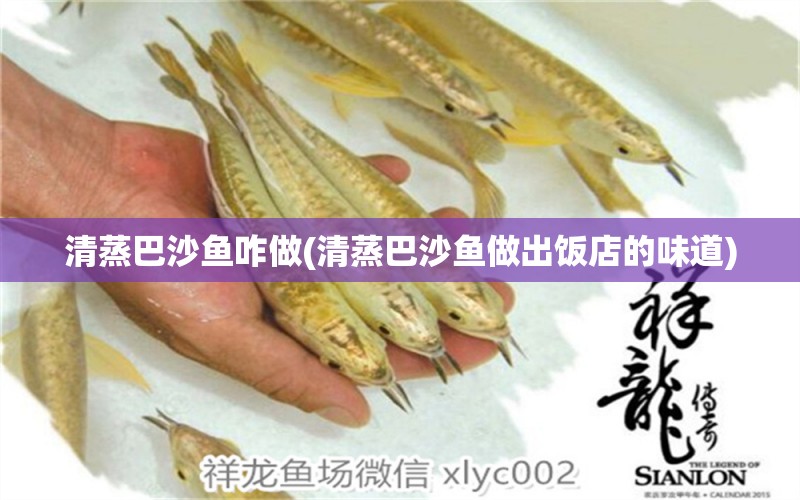 清蒸巴沙魚咋做(清蒸巴沙魚做出飯店的味道) 黃金夢幻雷龍魚