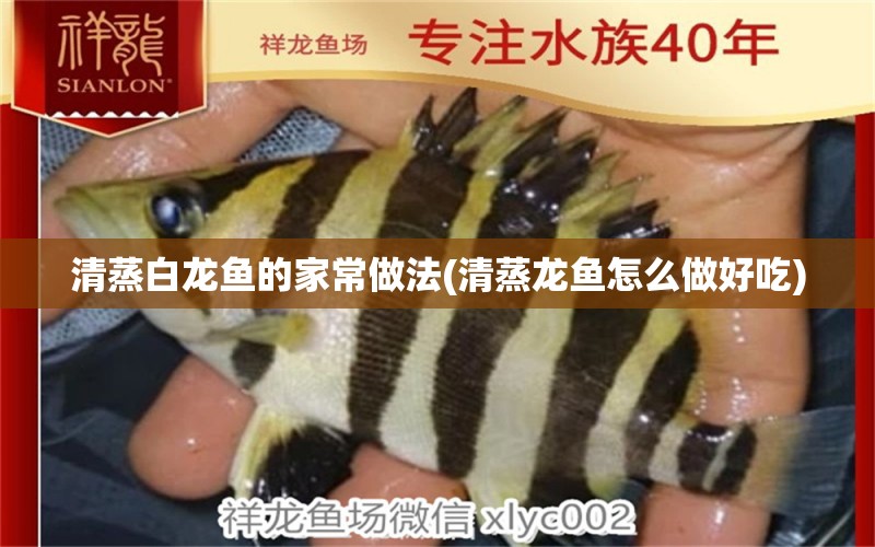 清蒸白龍魚的家常做法(清蒸龍魚怎么做好吃) 狗頭魚