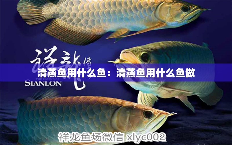 清蒸魚用什么魚：清蒸魚用什么魚做