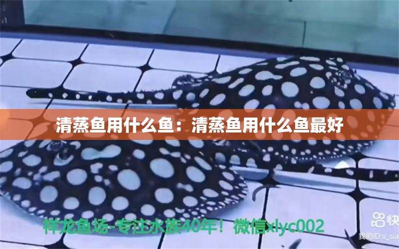 清蒸魚用什么魚：清蒸魚用什么魚最好