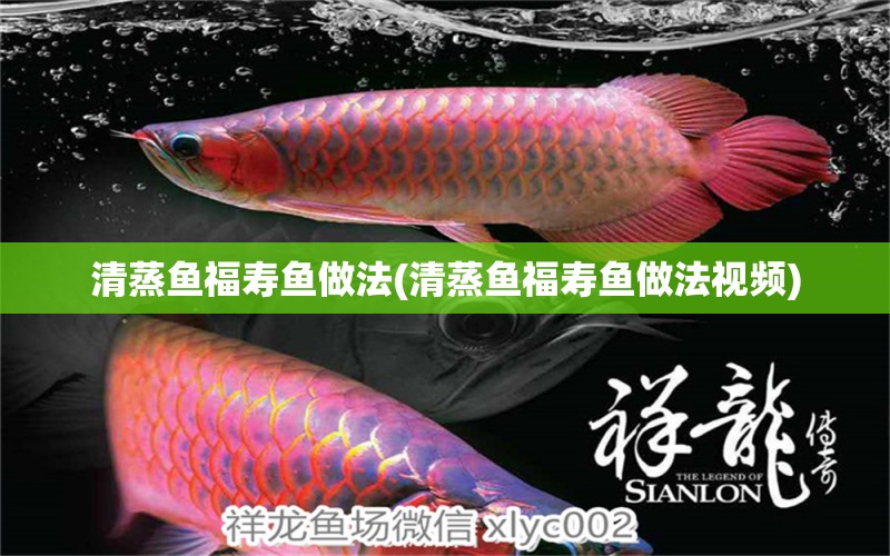 清蒸魚福壽魚做法(清蒸魚福壽魚做法視頻) 蝴蝶鯉魚苗