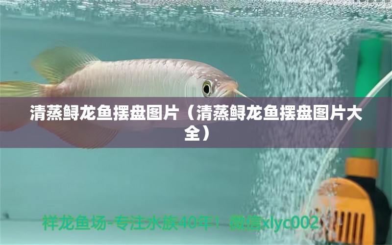 清蒸鱘龍魚(yú)擺盤(pán)圖片（清蒸鱘龍魚(yú)擺盤(pán)圖片大全）