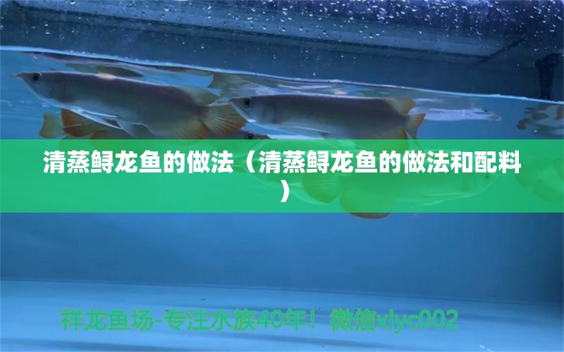 清蒸鱘龍魚的做法（清蒸鱘龍魚的做法和配料） 蝴蝶鯉魚苗