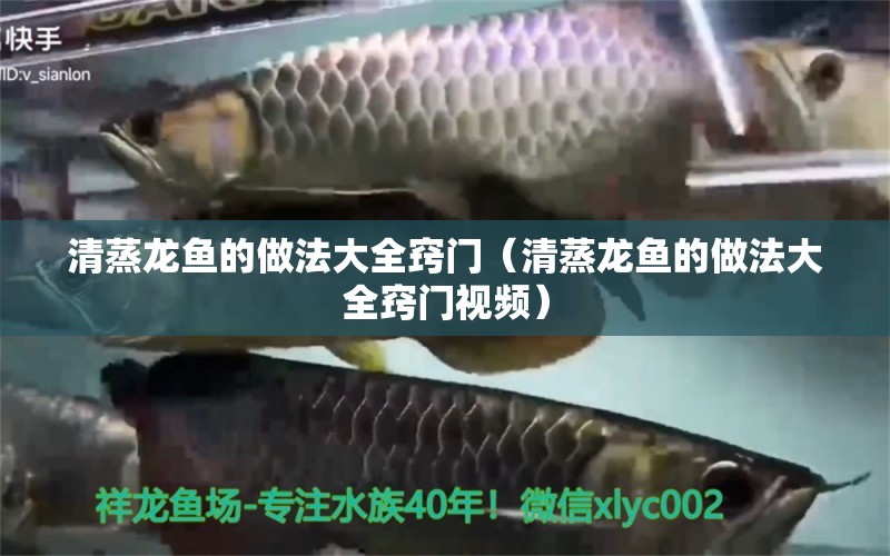 清蒸龍魚的做法大全竅門（清蒸龍魚的做法大全竅門視頻）