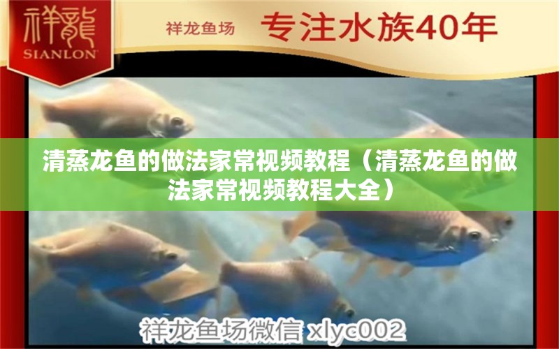 清蒸龍魚(yú)的做法家常視頻教程（清蒸龍魚(yú)的做法家常視頻教程大全）