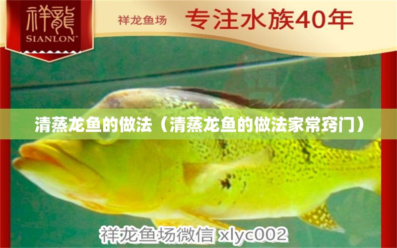 清蒸龍魚的做法（清蒸龍魚的做法家常竅門） 恐龍王魚